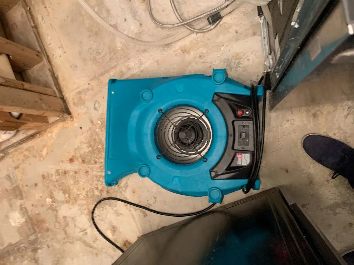 Air mover drying equipment for Mold Remediation & Removal in Zachary